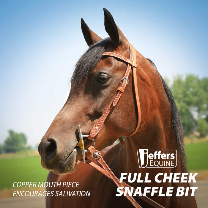 Jeffers Full Cheek Snaffle Horse Bit - A8SC - 5" Copper Mouth - 3