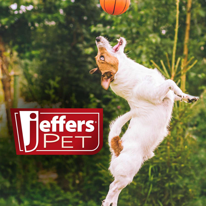 Jeffers Fuzzy Shapes with Squeakers, Assorted Colors - Jeffers - Dog Supplies > Dog Toys