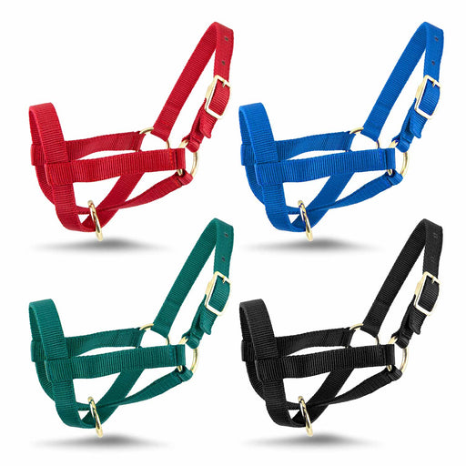 Jeffers Goat Halter - SSHG - Small (30" - 34") - Red - 2