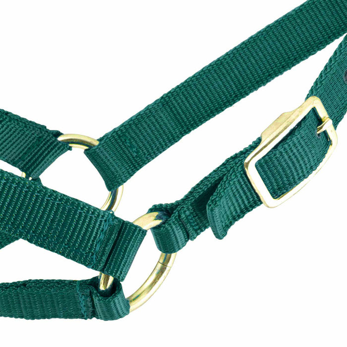 Jeffers Goat Halter - SSHH - Small (30" - 34") - Royal Blue - 10
