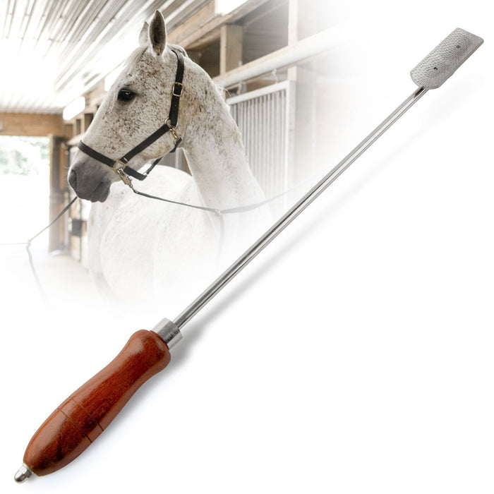 Jeffers Horse Dental Float (& Replacement Blades) - JIDG - Equine Dental Float with 26" Handle - 1