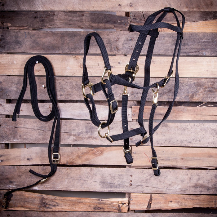 Jeffers Nylon Combination Horse Halter Bridle with Reins