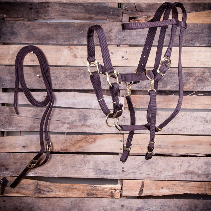 Jeffers Nylon Combination Horse Halter Bridle with Reins - SS40 - Dark Brown - 5