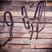 Jeffers Nylon Combination Horse Halter Bridle with Reins - SS40 - Dark Brown - 5