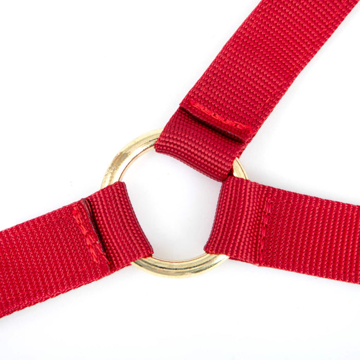 Jeffers Nylon Cow Halter - SSF3 - Small (250 - 450 lbs) - Red - 5