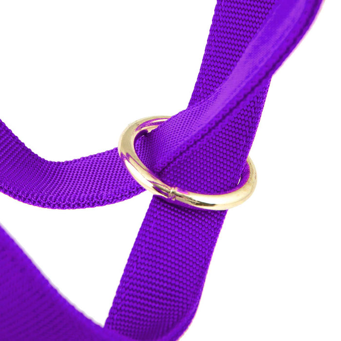 Jeffers Nylon Cow Halter - SSF6 - Small (250 - 450 lbs) - Purple - 18