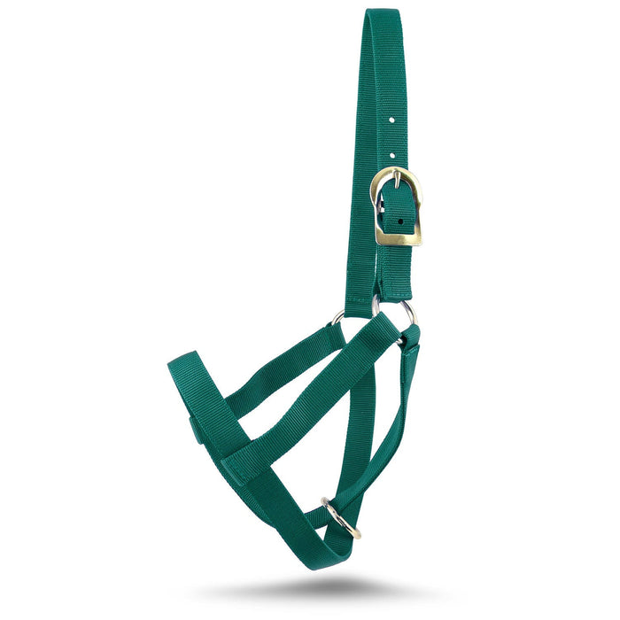 Jeffers Nylon Cow Halter - SSFT - Small (250 - 450 lbs) - Forest Green - 20