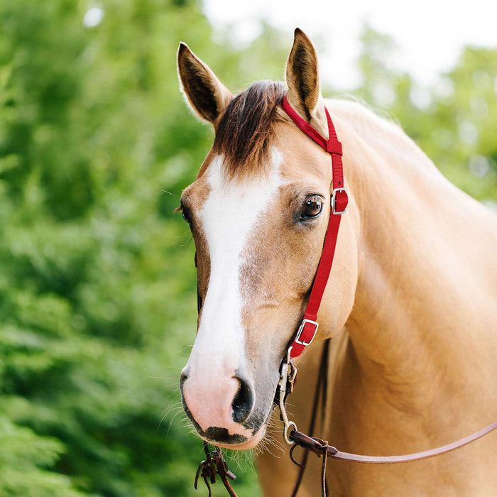Jeffers Nylon One - Ear Western Horse Headstall - SSND - Red - 7