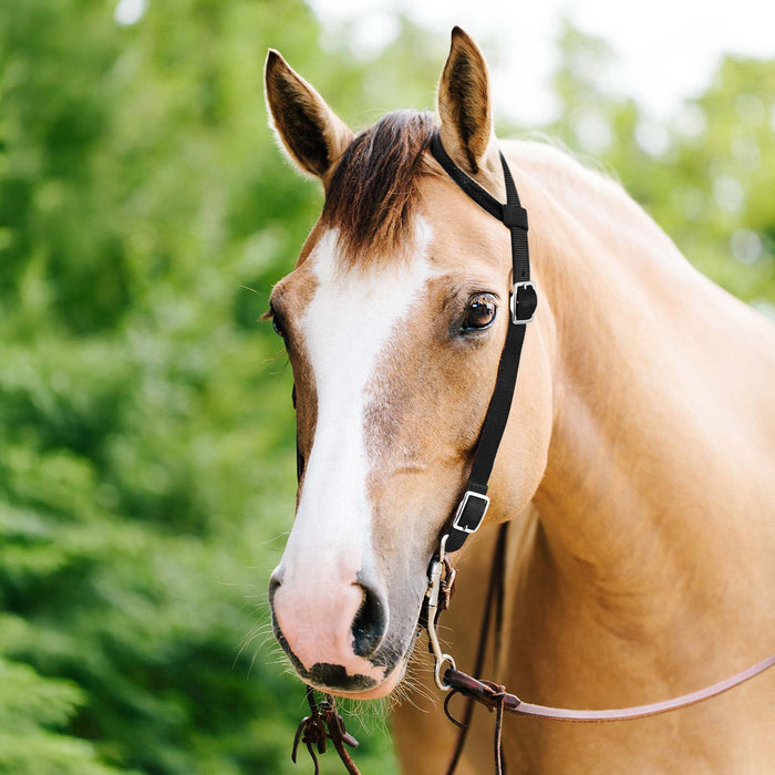 Jeffers Nylon One - Ear Western Horse Headstall - SSNE - Black - 12