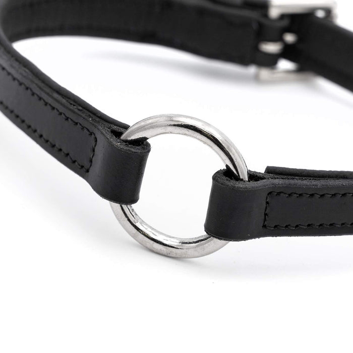 Jeffers Padded Black Leather Dog Collars with O - Ring and Nickel Hardware - I2DX - 5/8" x 12" - 5