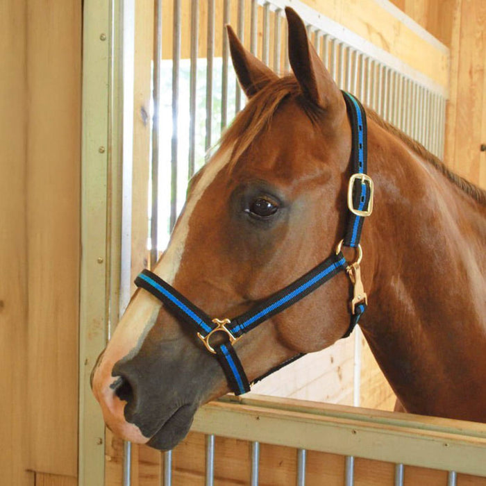 Jeffers Padded Nylon Horse Halter with Throat Snap - IA6B - Green/Black - 6
