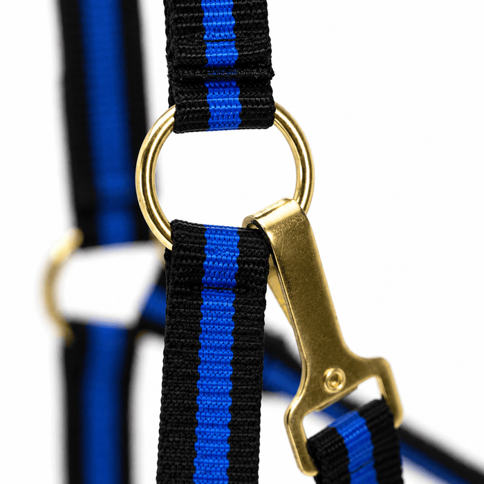 Jeffers Padded Nylon Horse Halter with Throat Snap - IA6C - Blue/Black - 9