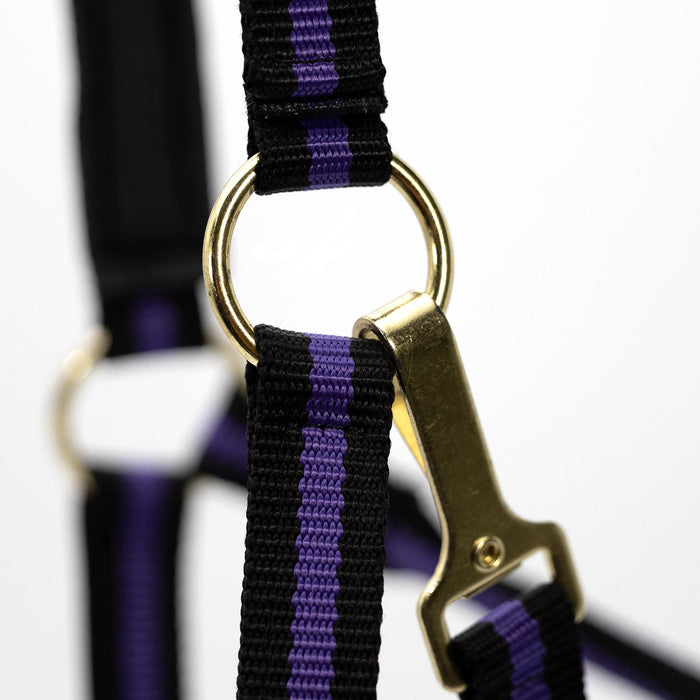 Jeffers Padded Nylon Horse Halter with Throat Snap - IA6E - Purple/Black - 19
