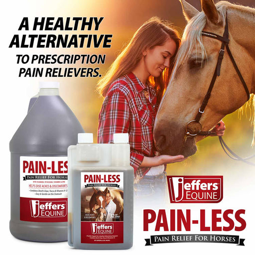 Jeffers Pain - Less Pain Relief Liquid for Horses - JEF2P8 - Gallon - 1 - 3