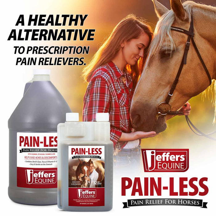 Jeffers Pain - Less Pain Relief Liquid for Horses - JEF2P8 - Gallon - 1 - 3