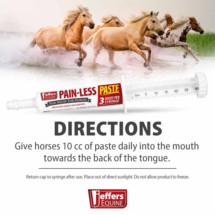 Jeffers Pain - Less Pain Relief Paste for Horses - JEF2P5 - 30 cc - 1 - 3