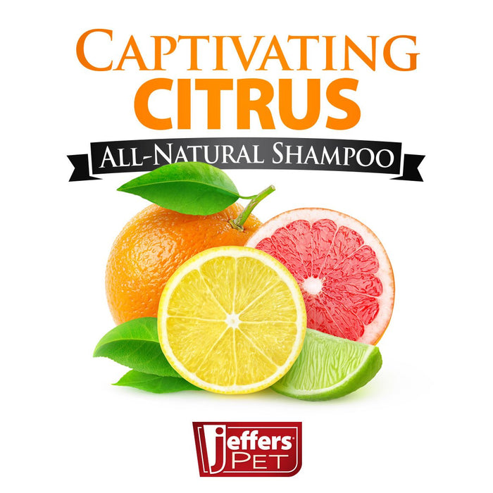 Jeffers Pet Captivating Citrus All - Natural Flea Bite Relief Shampoo for Dogs and Cats - TZP7 - 17 oz - 1 - 2