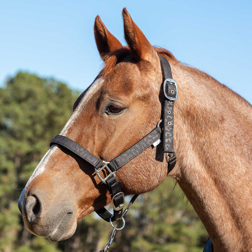 Jeffers Matching Horse Halter & Lead Rope 2 Piece Set, Full Size - GAG1T8 - Allegiance - Full - 6