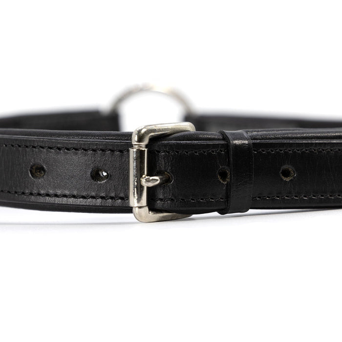 Jeffers Premium Padded Black Leather Dog Collars - GAGJU - 5/8" x 12" - Black - 3