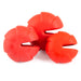 Jeffers Red Millipede Natural Rubber Treat Dispensing Dental Dog Chew Toy - I7RK - Red - Small - 1 - 10