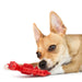 Jeffers Red Seahorse Natural Rubber Dog Chew Toy with Vanilla Scent and Textured Ridges for Dental Health - I7Q9 - Red - Small - 1 - 6