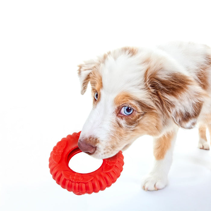 Jeffers Red Virgo Tugger Natural Rubber Dog Dental Chew Toy for Interactive or Solo Play - I7RX - Red - Small - 1 - 5