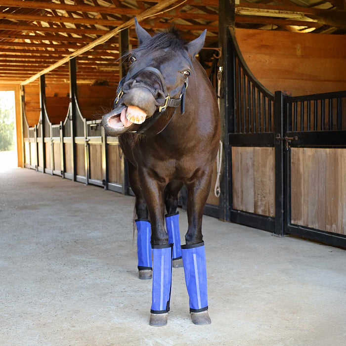 Jeffers Romper Stomper "Stomp - Free" Fly Boots for Horses, 4 pack - JEF2R3 - Indigo - Small - 16