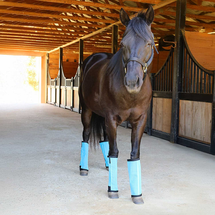Jeffers Romper Stomper "Stomp - Free" Fly Boots for Horses, 4 pack - JEF2R9 - Turquoise - Small - 6