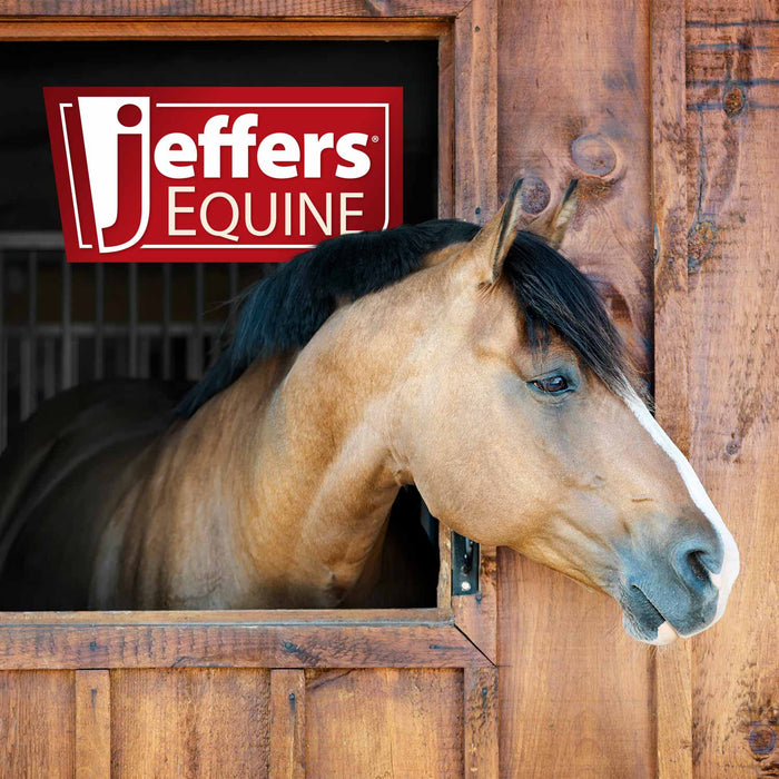 Jeffers Rubber Groomer – Shedding & Dirt Removal for Horses, Dogs & Cats - IAS6 - Blue - 8.5"L - Each - 6