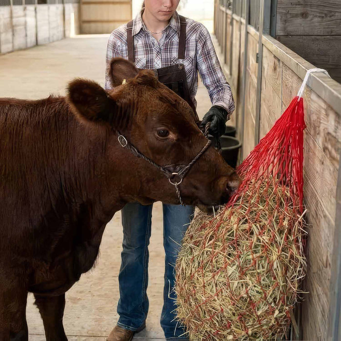Jeffers Slow Feed 2" x 2" Nylon Hay Net for Horses - XQEG - Red - 2" x 2" - 1 - 8