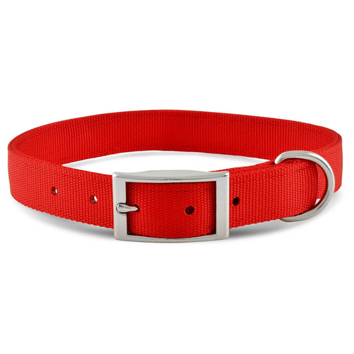 Jeffers Solid Web Nylon Dog Collar - SS5R - 5/8"W x 10"L - Pumpkin - 1