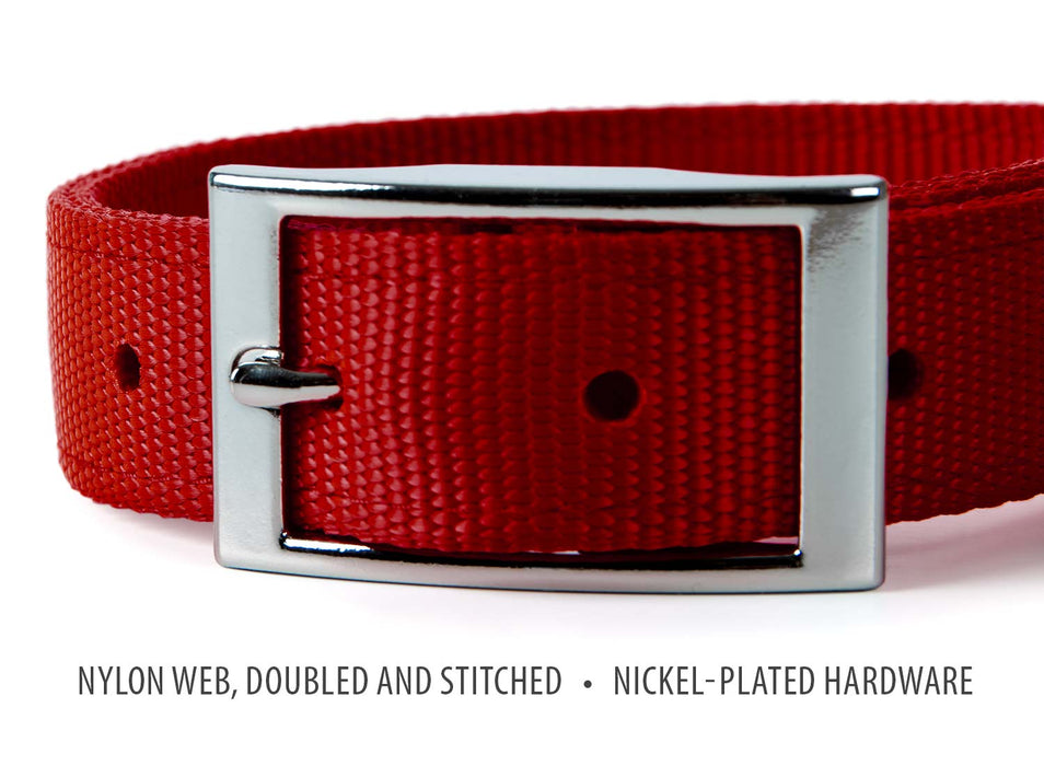 Jeffers Solid Web Nylon Dog Collar - SSWB - 5/8"W x 10"L - Red - 20
