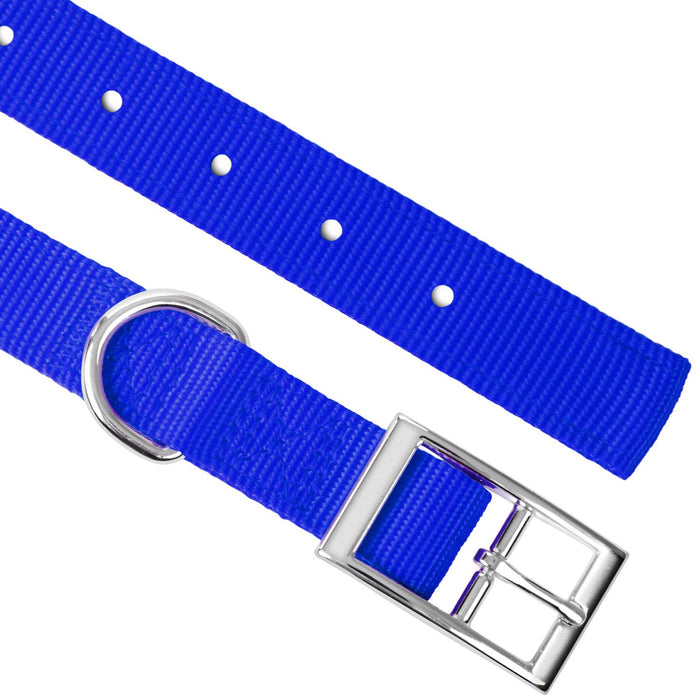 Jeffers Solid Web Nylon Dog Collar - SSWC - 5/8"W x 10"L - Royal Blue - 25