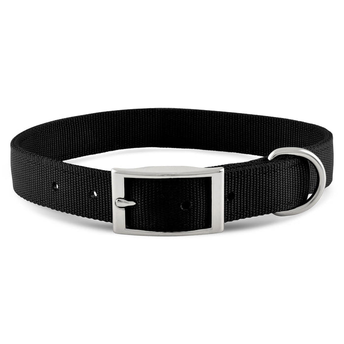 Jeffers Solid Web Nylon Dog Collar - SSWD - 5/8"W x 10"L - Black - 31