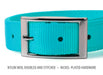 Jeffers Solid Web Nylon Dog Collar - SSWH - 5/8"W x 10"L - Turquoise - 40