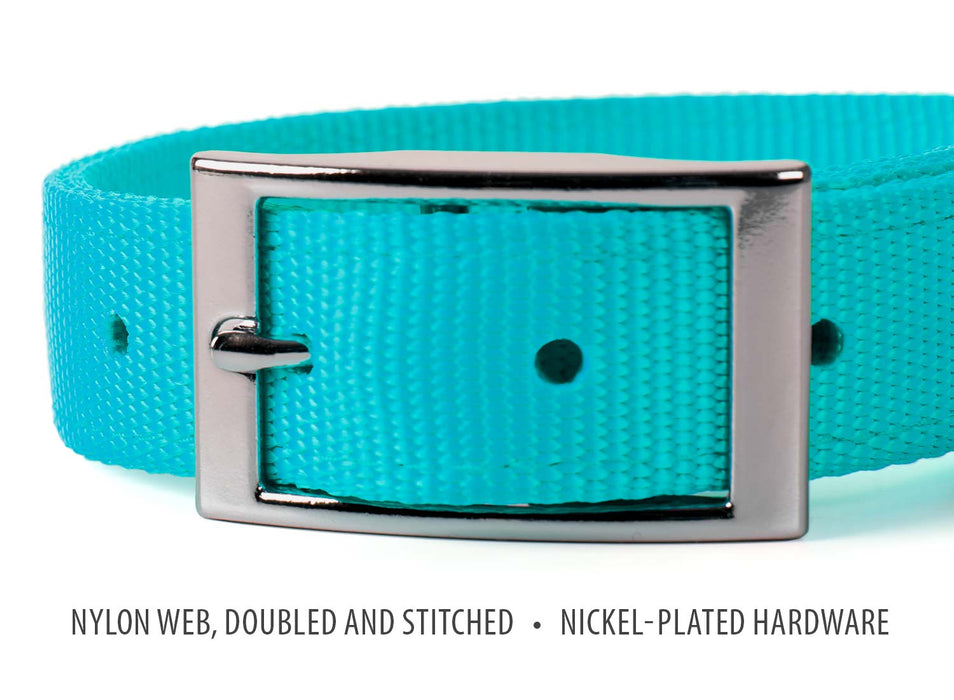 Jeffers Solid Web Nylon Dog Collar - SSWH - 5/8"W x 10"L - Turquoise - 40