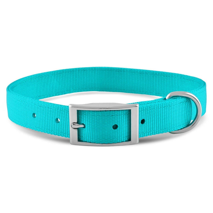 Jeffers Solid Web Nylon Dog Collar - SSWH - 5/8"W x 10"L - Turquoise - 39