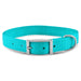Jeffers Solid Web Nylon Dog Collar - SSWH - 5/8"W x 10"L - Turquoise - 39