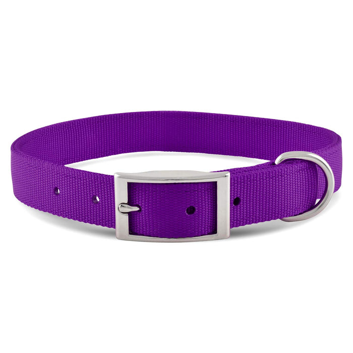 Jeffers Solid Web Nylon Dog Collar - SSY1 - 5/8"W x 10"L - Purple - 27
