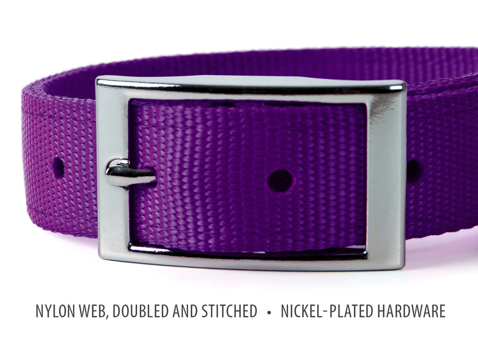Jeffers Solid Web Nylon Dog Collar - SSY1 - 5/8"W x 10"L - Purple - 28
