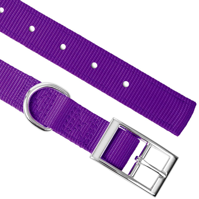 Jeffers Solid Web Nylon Dog Collar - SSY1 - 5/8"W x 10"L - Purple - 29