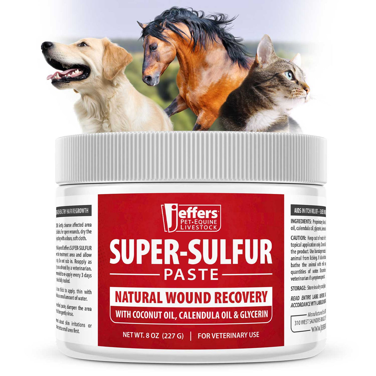 Jeffers Super Sulfur Healing Paste, 8 oz Natural Wound Care