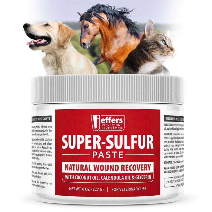 Jeffers Super - Sulfur Skin & Wound Healing Paste for Pets, Horses, & Livestock - JEZTY - 8 oz - 1