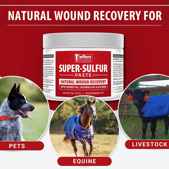 Jeffers Super - Sulfur Skin & Wound Healing Paste for Pets, Horses, & Livestock - JEZTY - 8 oz - 5