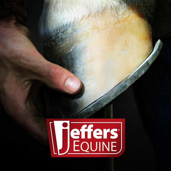 Jeffers Tanged Steel Hoof Rasp – Durable 10" & 14" Rasp for Horses, Ponies, Minis, Goats, and Sheep - IAA6 - 14"L - 10