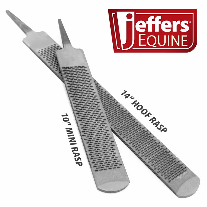 Jeffers Tanged Steel Hoof Rasp – Durable 10" & 14" Rasp for Horses, Ponies, Minis, Goats, and Sheep - IAJJ - 10"L Mini - 3