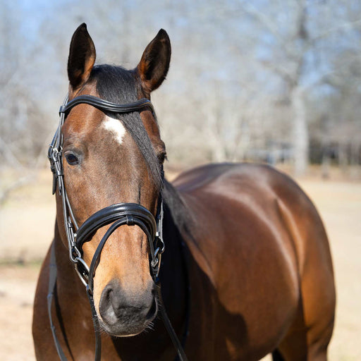 Jeffers Uniquely English "Aachen" Leather Dressage Bridle with Reins for Horses - JEF14F - Black - Cob - 1 - 3