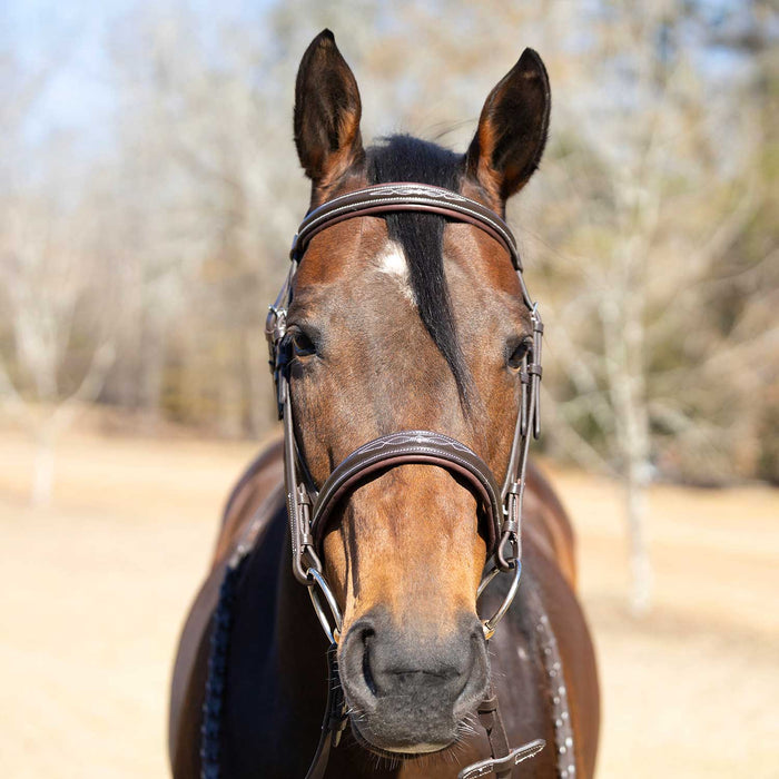 Jeffers Uniquely English "Hampton" Leather Hunter Bridle for Horses - JEF13X - Havana - Cob - 1 - 4