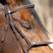 Jeffers Uniquely English Hickstead Figure - 8 Bridle with Web Reins for Horses - JEF01B - Havana - Cob - 1 - 9