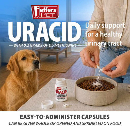 Jeffers Uracid DL - Methionine 0.2g Capsules for Dogs & Cats – Supports Urinary Tract, Reduces Urine Odor, Prevents Stones - JEFBB8 - 1000 Capsules (Up to 333 Day Supply) - 5